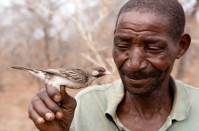 Bird Walk in Rwanda
